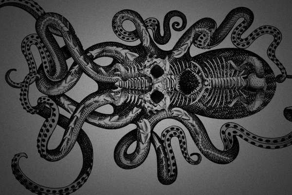 Современный маркетплейс kraken door