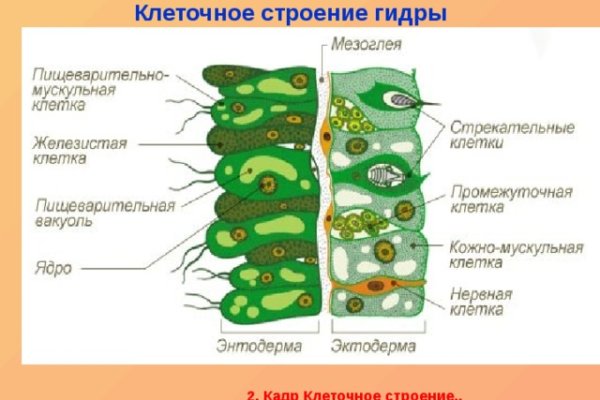 Маркетплейс кракен купить